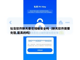 社交软件聊天要花钱嘛安全吗（聊天软件需要充值,是真的吗）