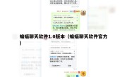 蝙蝠聊天软件1.0版本（蝙蝠聊天软件官方）