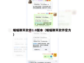 蝙蝠聊天软件1.0版本（蝙蝠聊天软件官方）