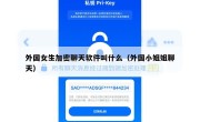 外国女生加密聊天软件叫什么（外国小姐姐聊天）