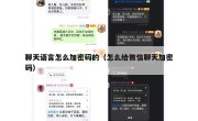 聊天语言怎么加密码的（怎么给微信聊天加密码）
