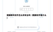 鲲鹏聊天软件怎么样安全吗（鲲鹏软件是什么）