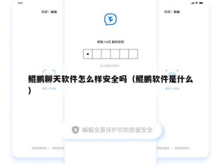 鲲鹏聊天软件怎么样安全吗（鲲鹏软件是什么）