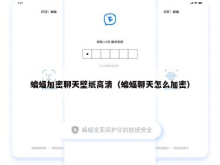 蝙蝠加密聊天壁纸高清（蝙蝠聊天怎么加密）