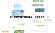 萝卜密聊苹果手机叫什么（卜萝密营养）