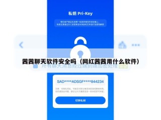 茜茜聊天软件安全吗（网红茜茜用什么软件）