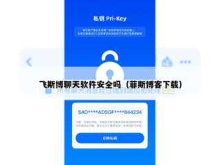 飞斯博聊天软件安全吗（菲斯博客下载）
