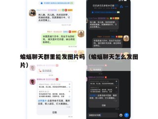 蝙蝠聊天群里能发图片吗（蝙蝠聊天怎么发图片）