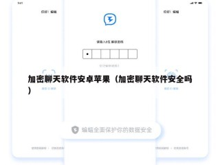 加密聊天软件安卓苹果（加密聊天软件安全吗）