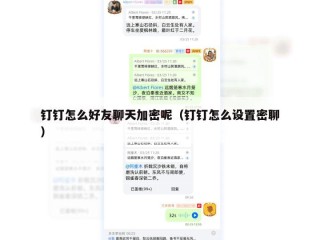 钉钉怎么好友聊天加密呢（钉钉怎么设置密聊）