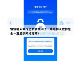 蝙蝠聊天大厅怎么被关闭了（蝙蝠聊天软件怎么一直显示网络异常）