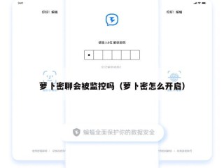 萝卜密聊会被监控吗（萝卜密怎么开启）