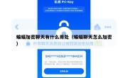 蝙蝠加密聊天有什么用处（蝙蝠聊天怎么加密）