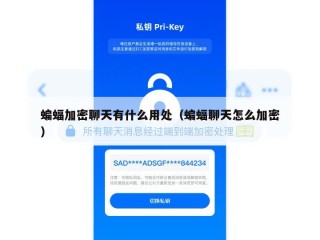 蝙蝠加密聊天有什么用处（蝙蝠聊天怎么加密）