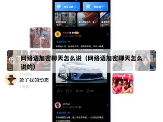 网络语加密聊天怎么说（网络语加密聊天怎么说的）