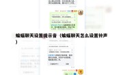 蝙蝠聊天设置提示音（蝙蝠聊天怎么设置铃声）