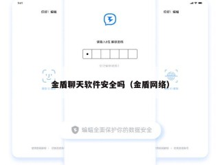 金盾聊天软件安全吗（金盾网络）