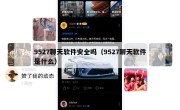 9527聊天软件安全吗（9527聊天软件是什么）