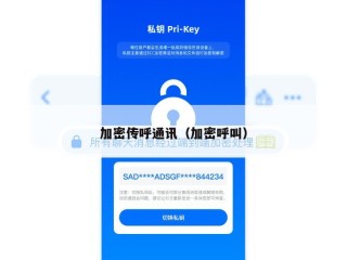 加密传呼通讯（加密呼叫）