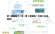 萝卜密聊投了一万（萝卜密聊投一万四十五天回本）