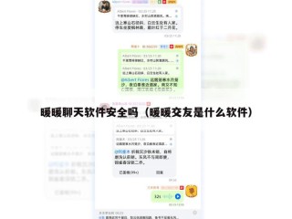 暖暖聊天软件安全吗（暖暖交友是什么软件）