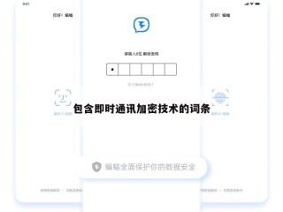 包含即时通讯加密技术的词条