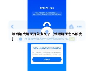 蝙蝠加密聊天开发多久了（蝙蝠聊天怎么解密）
