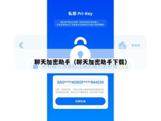 聊天加密助手（聊天加密助手下载）