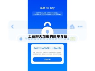 土豆聊天加密的简单介绍