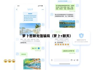 萝卜密聊充值骗局（萝卜+聊天）