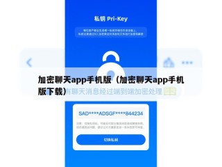 加密聊天app手机版（加密聊天app手机版下载）