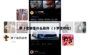 萝卜密聊是什么软件（卜罗密咋吃）