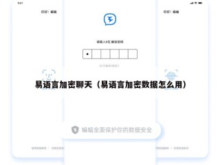 易语言加密聊天（易语言加密数据怎么用）