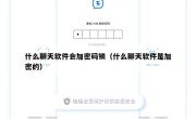 什么聊天软件会加密码锁（什么聊天软件是加密的）
