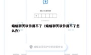 蝙蝠聊天软件用不了（蝙蝠聊天软件用不了怎么办）