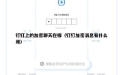 钉钉上的加密聊天在哪（钉钉加密消息有什么用）