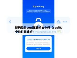 聊天软件soul花钱吗安全吗（soul这个软件花钱吗）