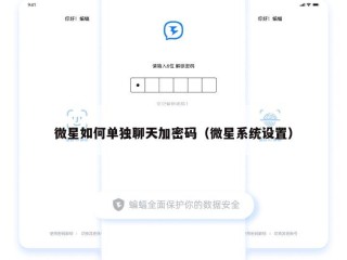 微星如何单独聊天加密码（微星系统设置）