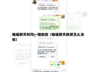 蝙蝠聊天如何一键撤回（蝙蝠聊天截屏怎么消除）