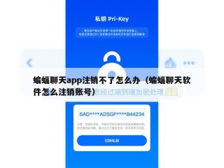 蝙蝠聊天app注销不了怎么办（蝙蝠聊天软件怎么注销账号）
