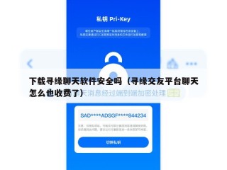 下载寻缘聊天软件安全吗（寻缘交友平台聊天怎么也收费了）