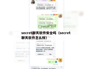 secret聊天软件安全吗（secret聊天软件怎么样）