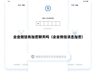 企业微信有加密聊天吗（企业微信消息加密）