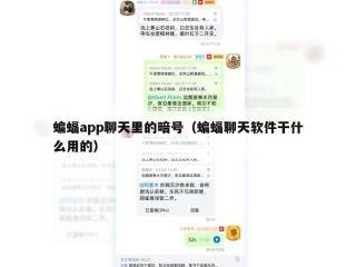蝙蝠app聊天里的暗号（蝙蝠聊天软件干什么用的）