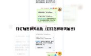钉钉加密聊天出轨（钉钉怎样聊天加密）
