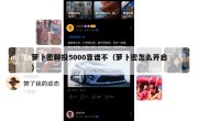 萝卜密聊投5000靠谱不（萝卜密怎么开启）
