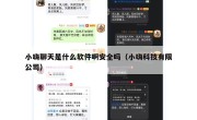 小嗨聊天是什么软件啊安全吗（小嗨科技有限公司）