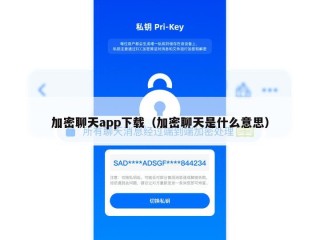 加密聊天app下载（加密聊天是什么意思）