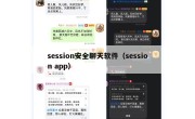 session安全聊天软件（session app）