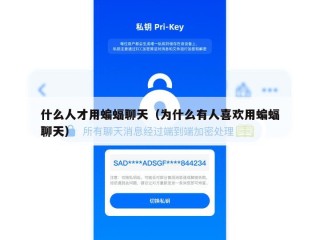 什么人才用蝙蝠聊天（为什么有人喜欢用蝙蝠聊天）